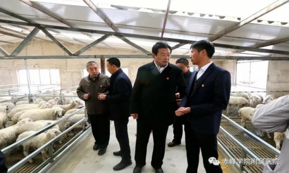 赤峰学院附属医院党委赴巴彦塔拉苏木进行融合党建对接