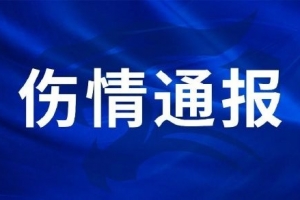 实时上海海港VS中超青岛西海岸进球集锦_实时上海海港VS中超青岛西海岸进球集锦在线观看_免费看直播