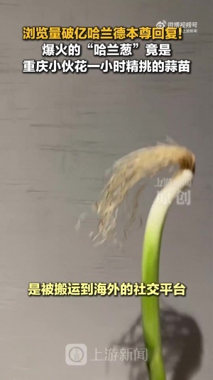 重磅中超青岛海牛vs云南玉昆首发阵容_重磅中超青岛海牛vs云南玉昆首发阵容在线观看_免费看直播赛事报道