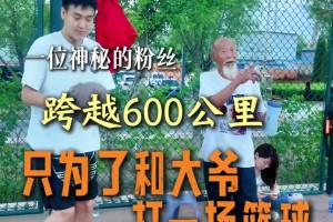重磅新西兰对埃及比赛回放